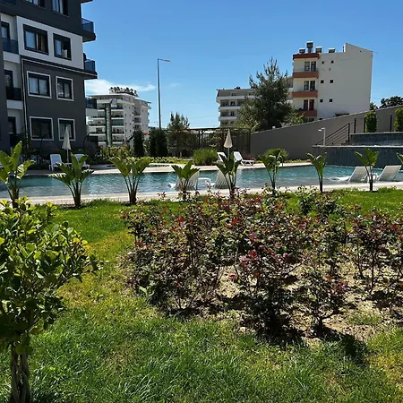 Seda Alanya